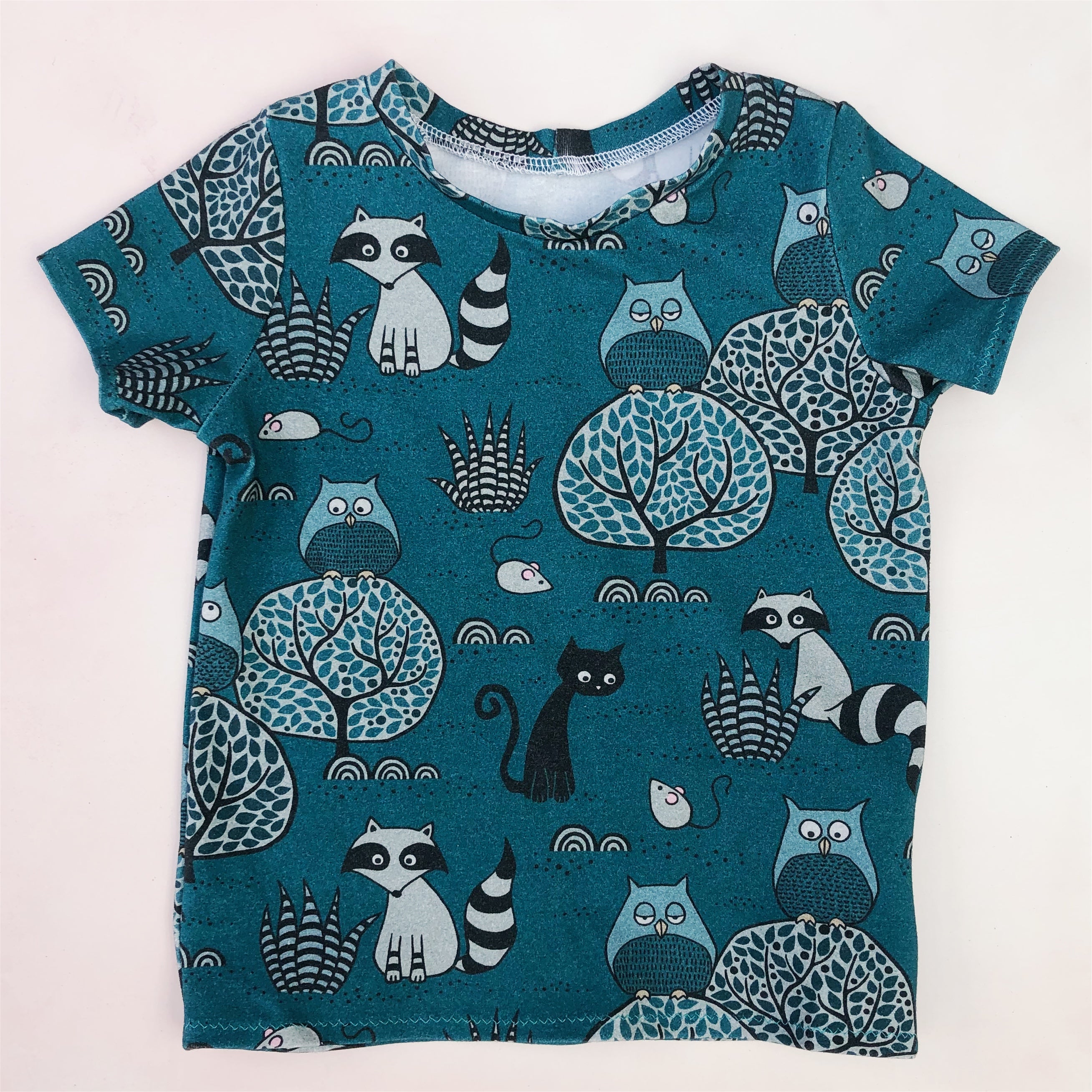 raccoons and owls