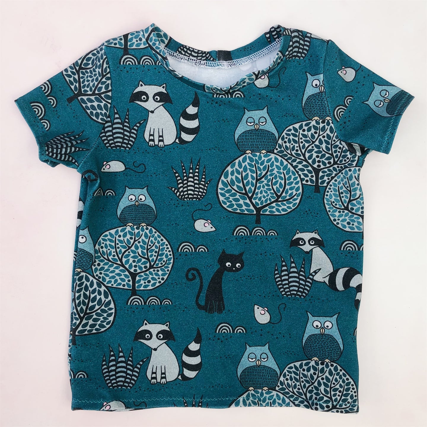 raccoons and owls